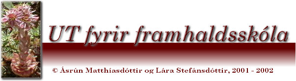 UT vefur fyrir framhaldssk�la, �sr�n Matth�asd�ttir og L�ra Stef�nsd�ttir